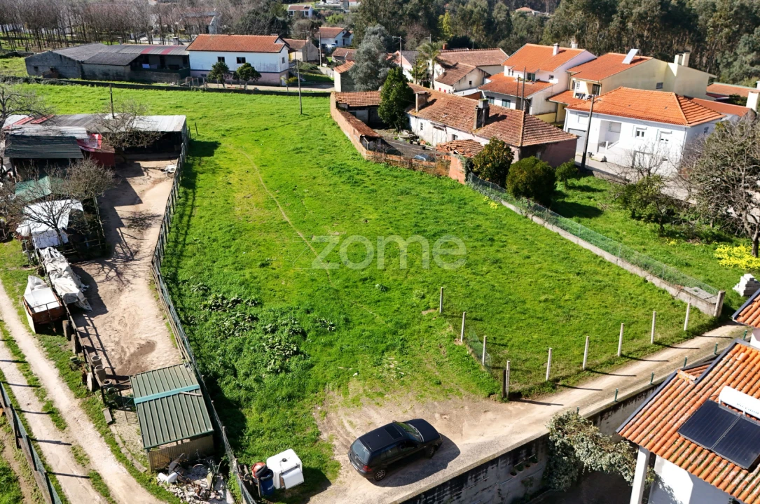 Terreno para Venda em Oliveira do Bairro Foto 14