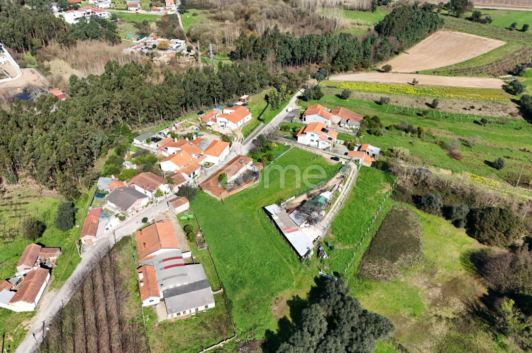 Terreno para Venda em Oliveira do Bairro Foto 16