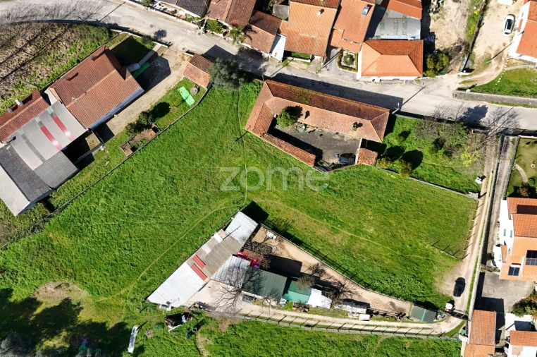 Terreno para Venda em Oliveira do Bairro Foto 15
