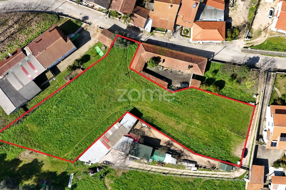 Terreno para Venda em Oliveira do Bairro Foto 6