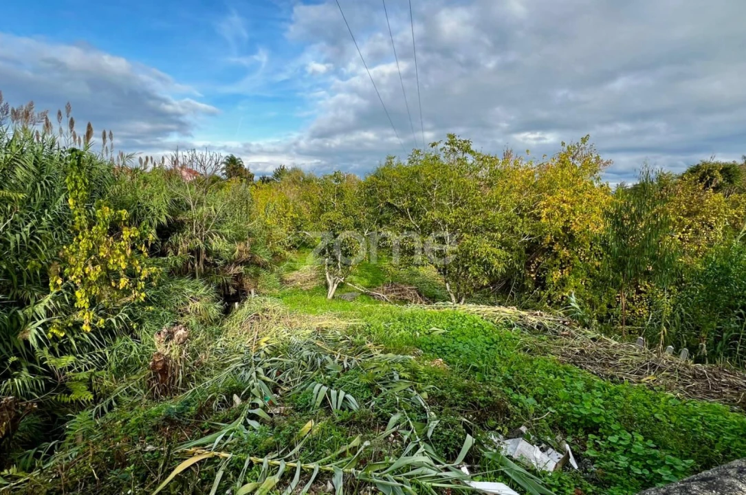 Terreno para Venda em São João do Campo Foto 5
