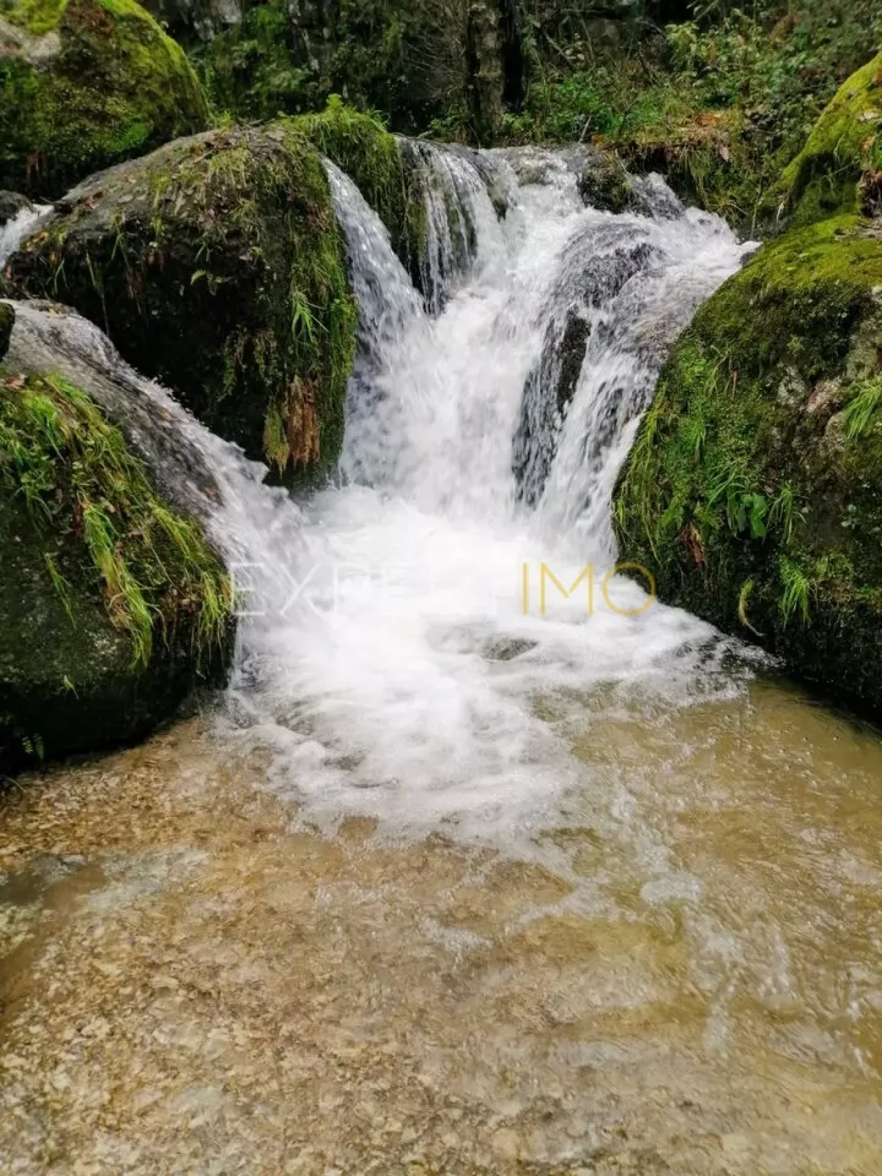 Quinta T2 para Venda em Seia, São Romão e Lapa dos Dinheiros Foto 11