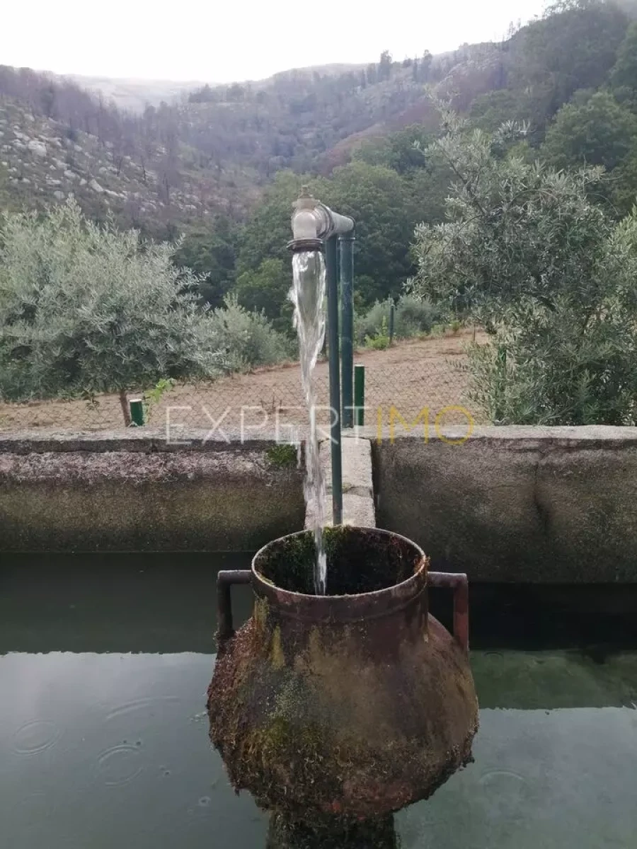 Quinta T2 para Venda em Seia, São Romão e Lapa dos Dinheiros Foto 7