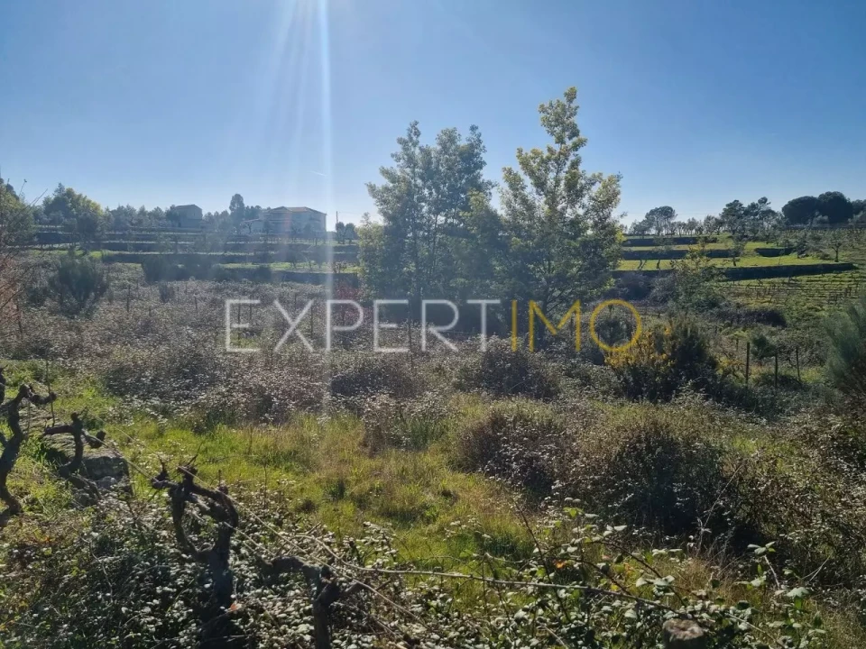 Terreno para Venda em Vila Nova de Tazem Foto 3