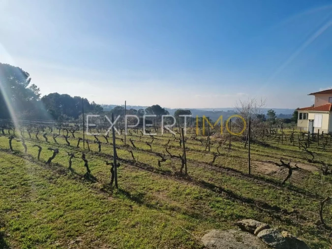 Terreno para Venda em Vila Nova de Tazem Foto 1