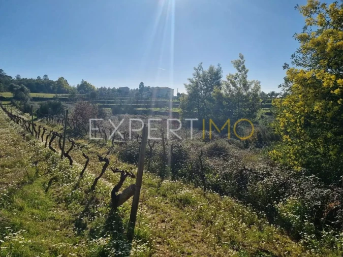 Terreno para Venda em Vila Nova de Tazem Foto 2