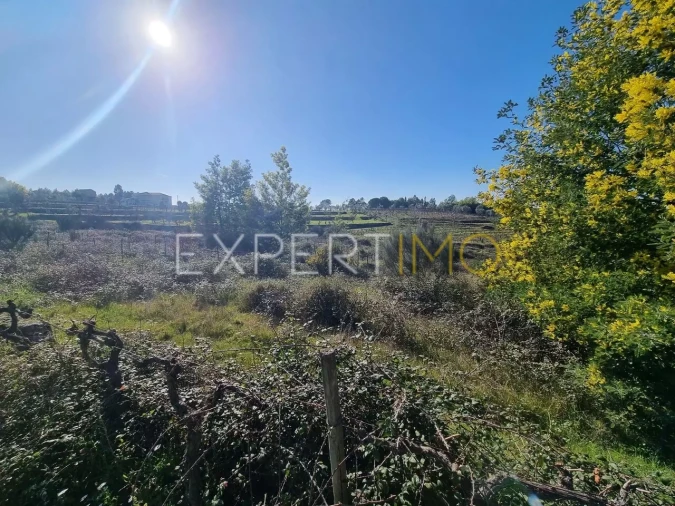 Terreno para Venda em Vila Nova de Tazem Foto 4