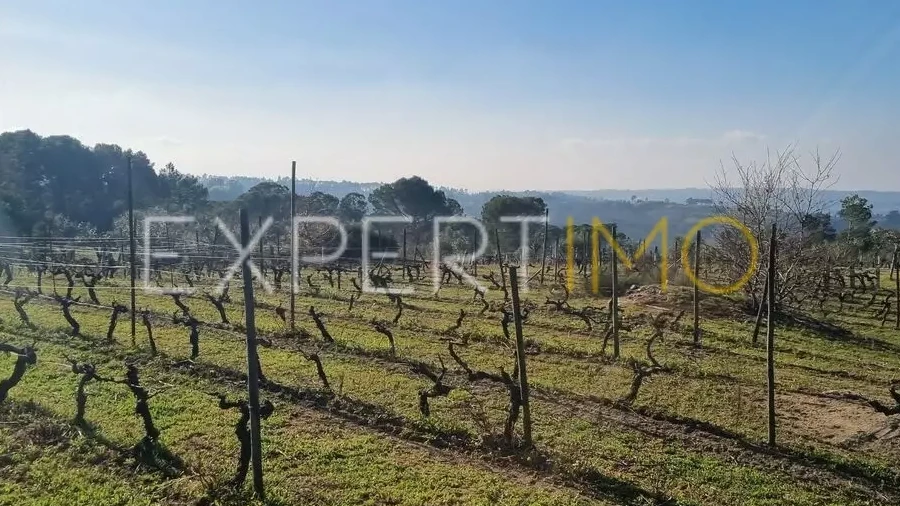 Terreno para Venda em Vila Nova de Tazem