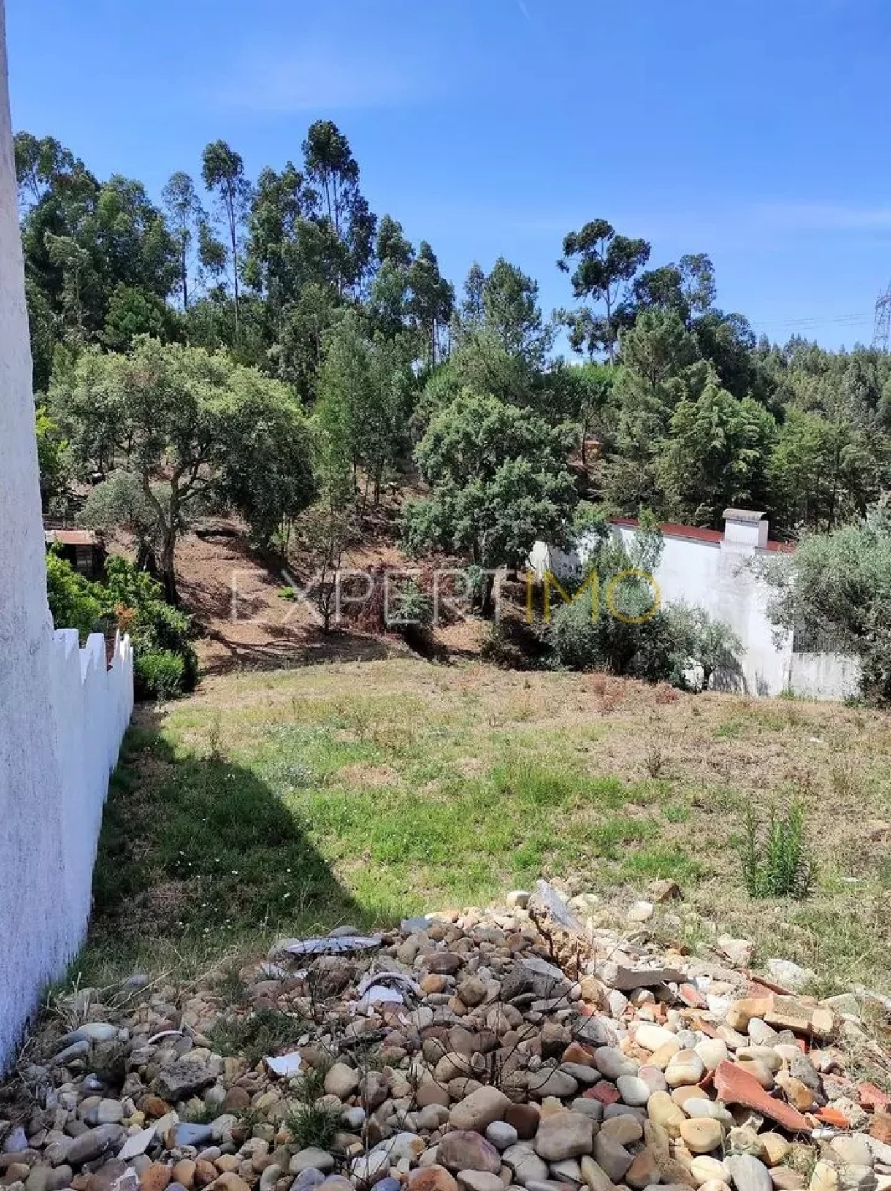 Terreno para Venda em São Miguel do Rio Torto e Rossio Ao Sul do Tejo Foto 5