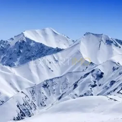 Moradia T1 para Venda em Aldeias e Mangualde da Serra Foto 11