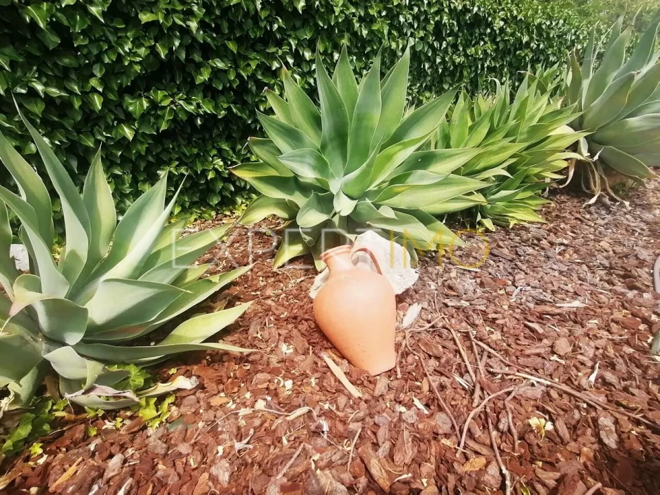 Moradia T4 para Venda em São Brás de Alportel Foto 14