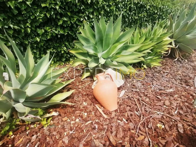 Moradia T4 para Venda em São Brás de Alportel Foto 14