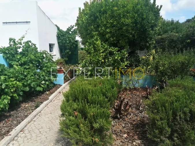 Moradia T4 para Venda em São Brás de Alportel Foto 9