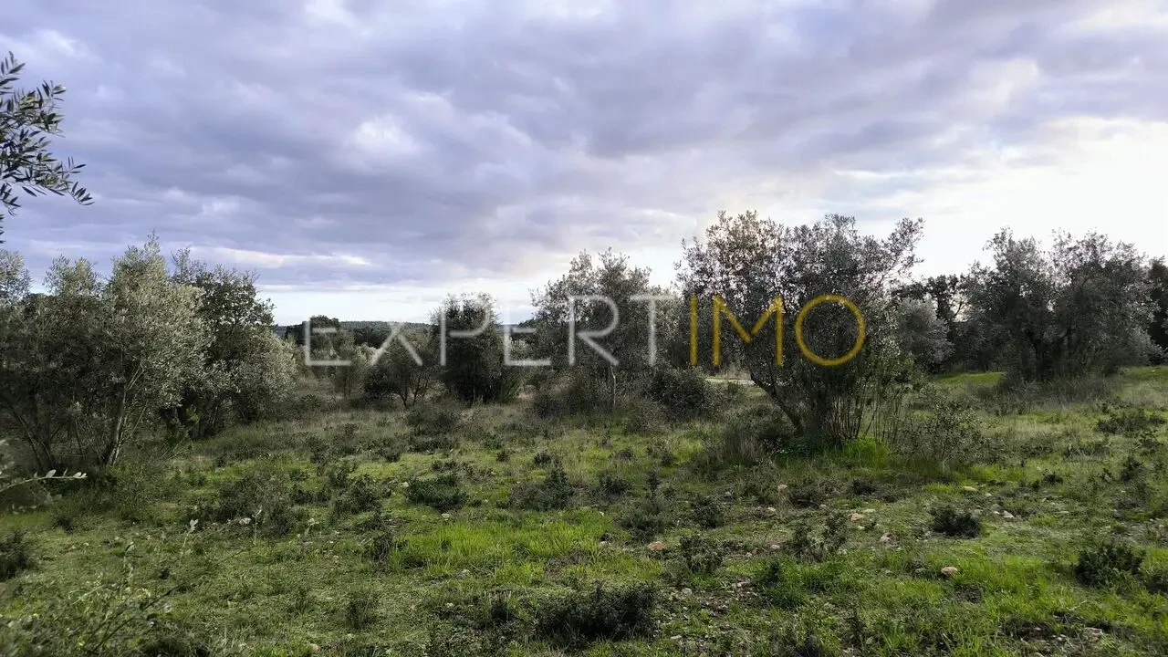 Terreno para Venda em Praia do Ribatejo Foto 10