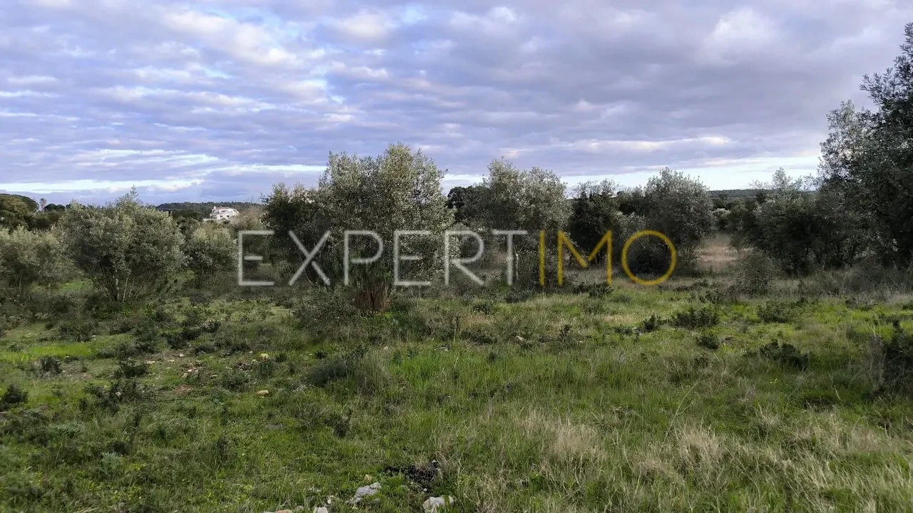 Terreno para Venda em Praia do Ribatejo Foto 11