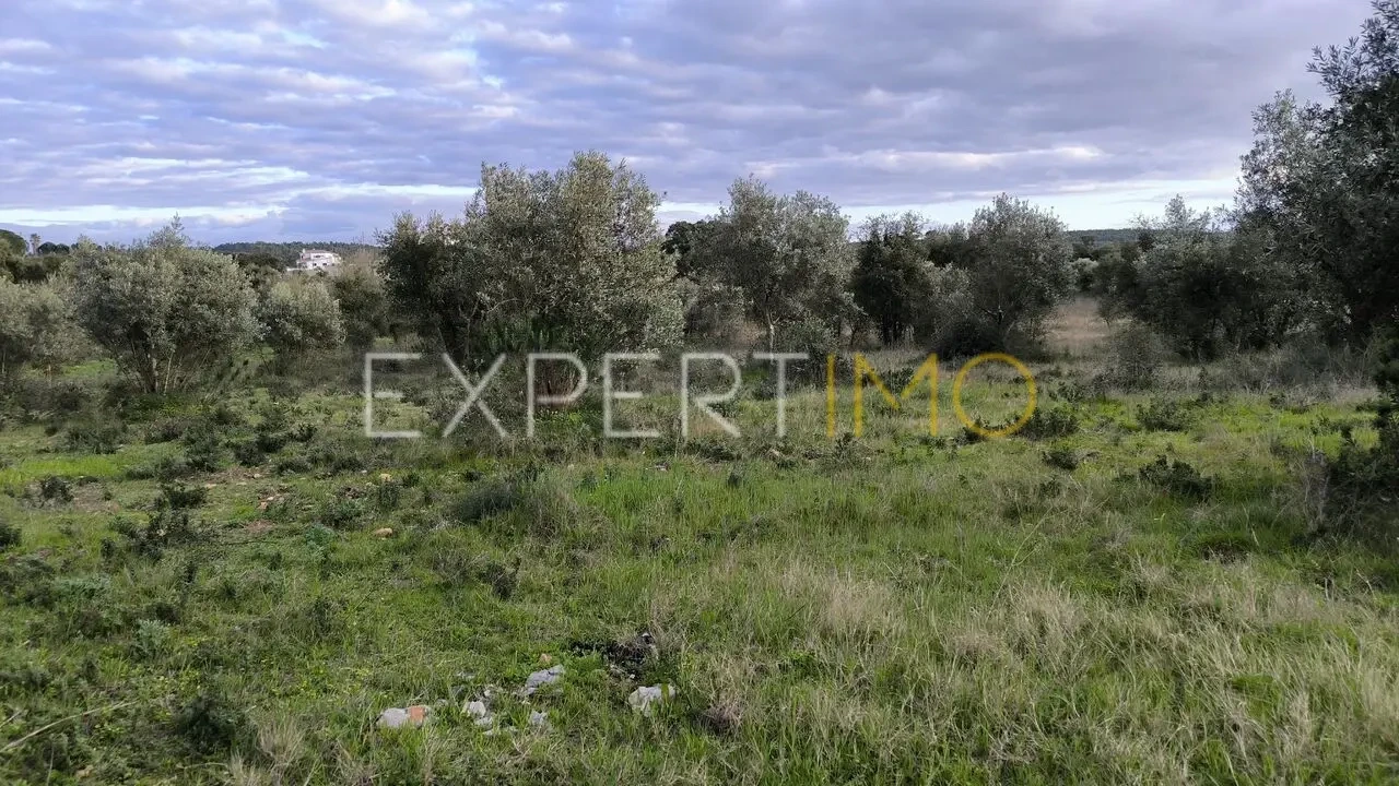 Terreno para Venda em Praia do Ribatejo Foto 12