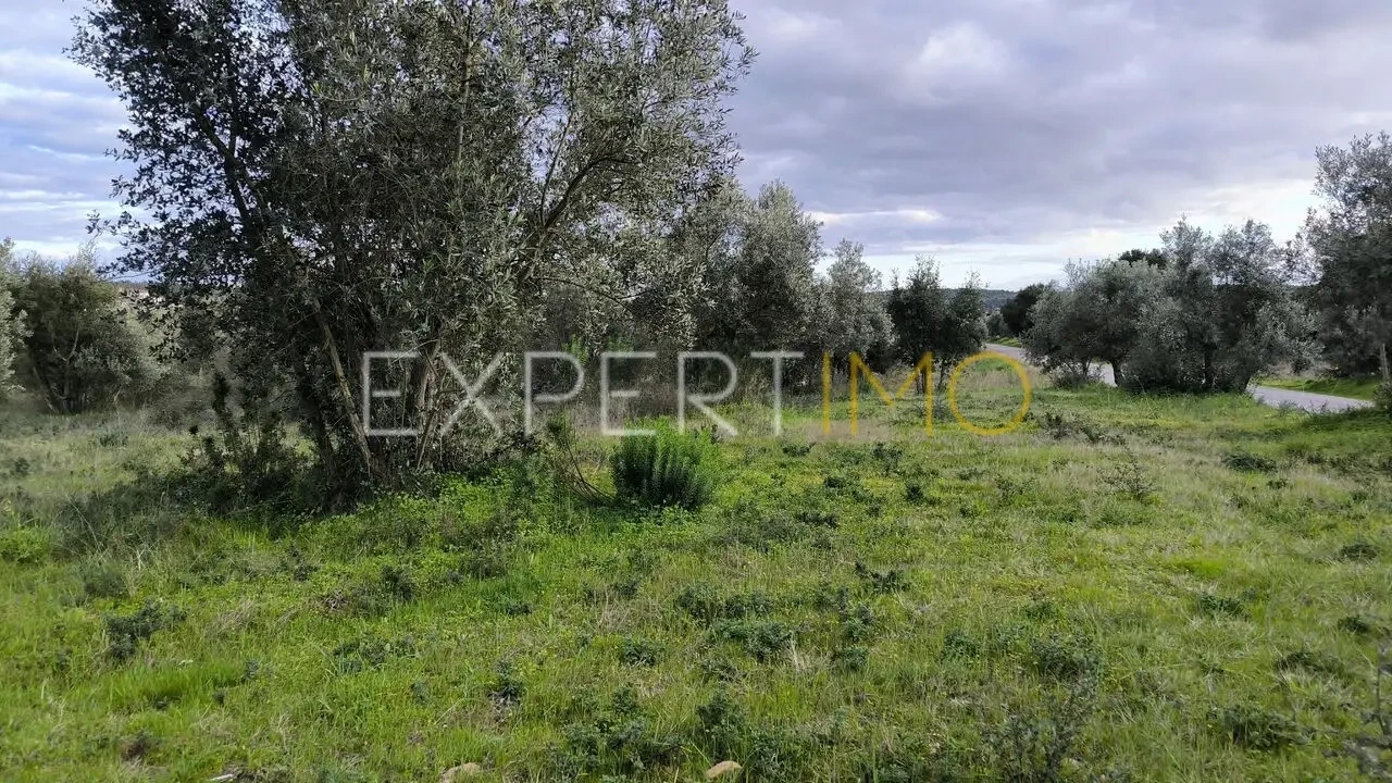 Terreno para Venda em Praia do Ribatejo Foto 14