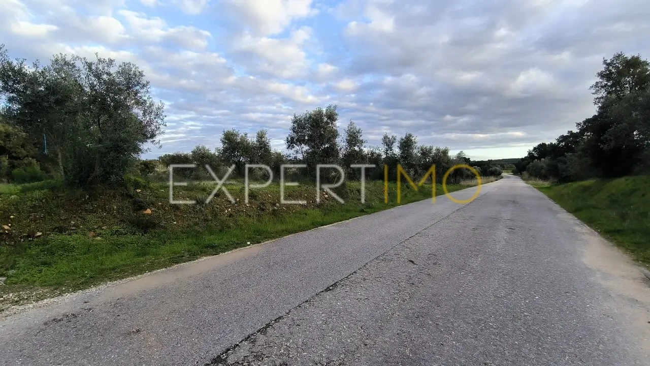 Terreno para Venda em Praia do Ribatejo Foto 16