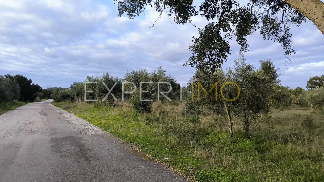 Terreno para Venda em Praia do Ribatejo Foto 5