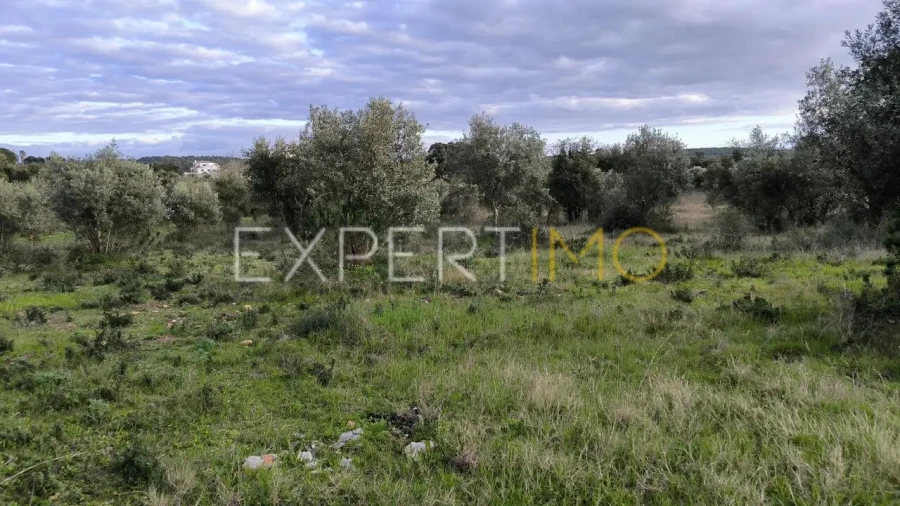 Terreno para Venda em Praia do Ribatejo Foto 12