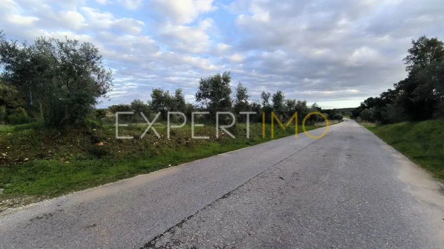 Terreno para Venda em Praia do Ribatejo Foto 16
