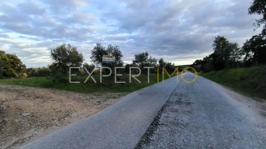 Terreno para Venda em Praia do Ribatejo Foto 20