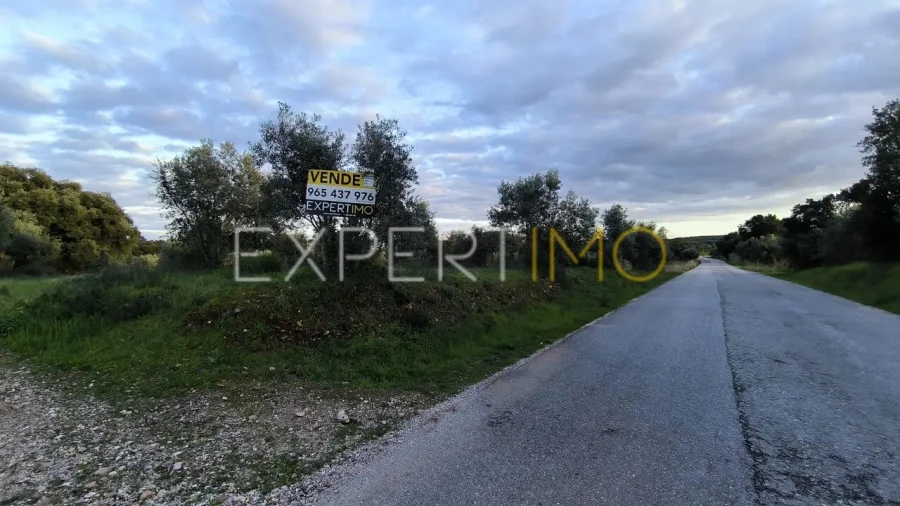Terreno para Venda em Praia do Ribatejo Foto 21