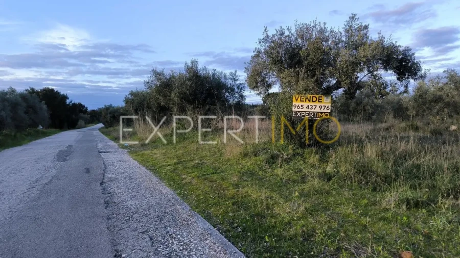 Terreno para Venda em Praia do Ribatejo Foto 24