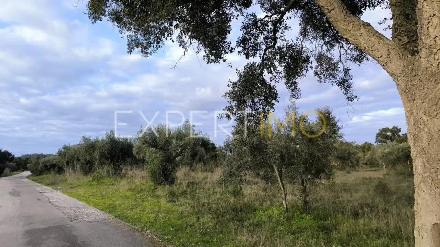 Terreno para Venda em Praia do Ribatejo Foto 4
