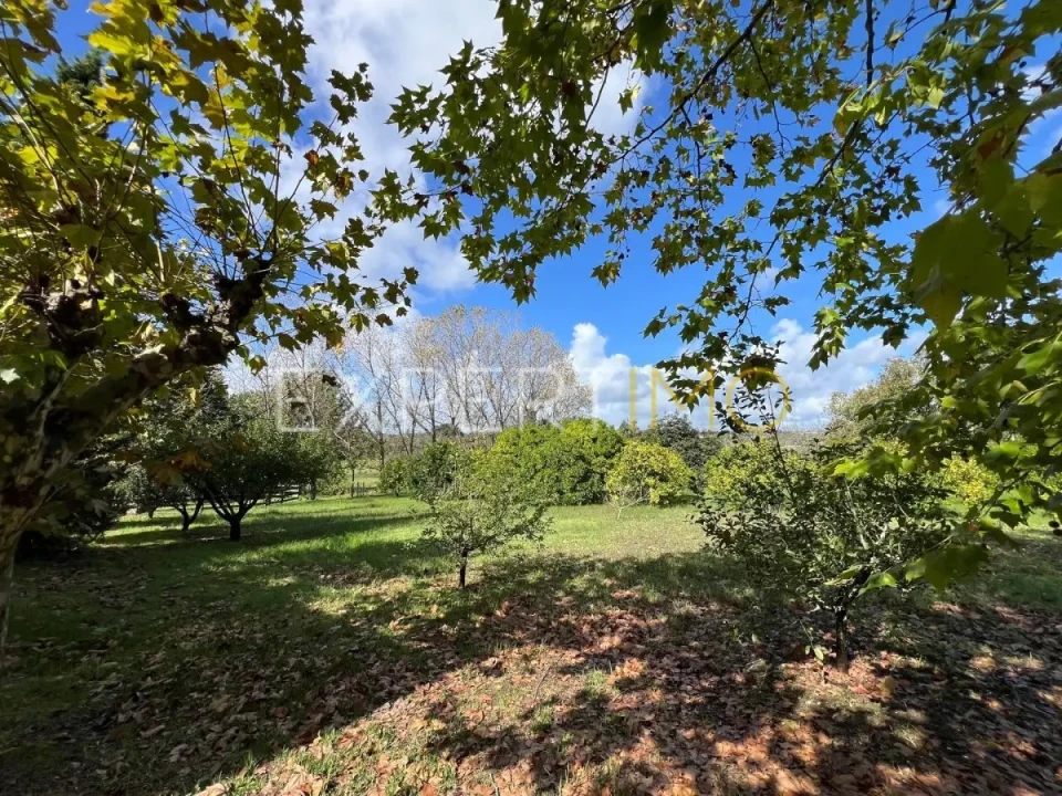 Moradia T3 para Venda em São Silvestre Foto 26