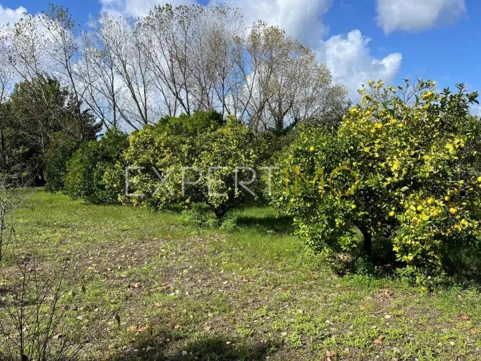 Moradia T3 para Venda em São Silvestre Foto 31