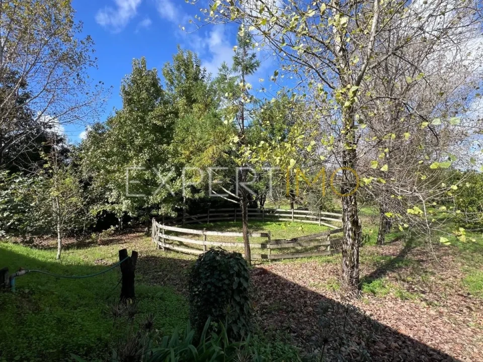 Moradia T3 para Venda em São Silvestre Foto 8