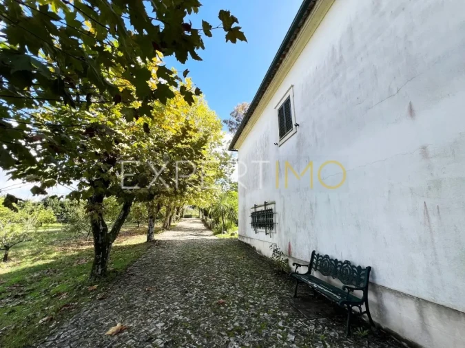 Moradia T3 para Venda em São Silvestre Foto 10