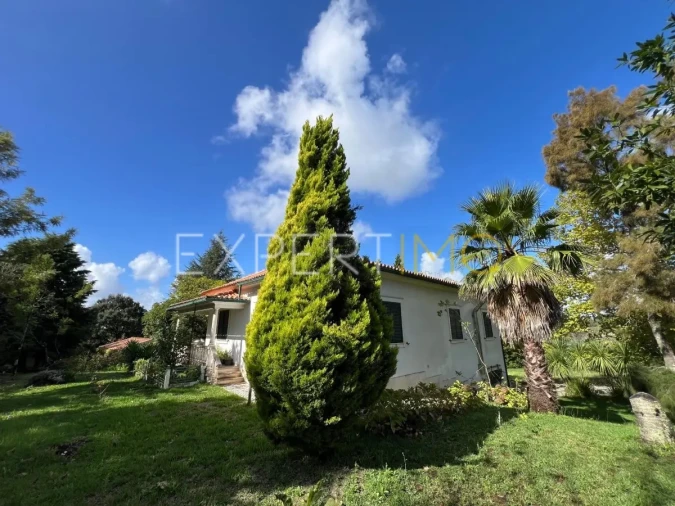 Moradia T3 para Venda em São Silvestre Foto 22