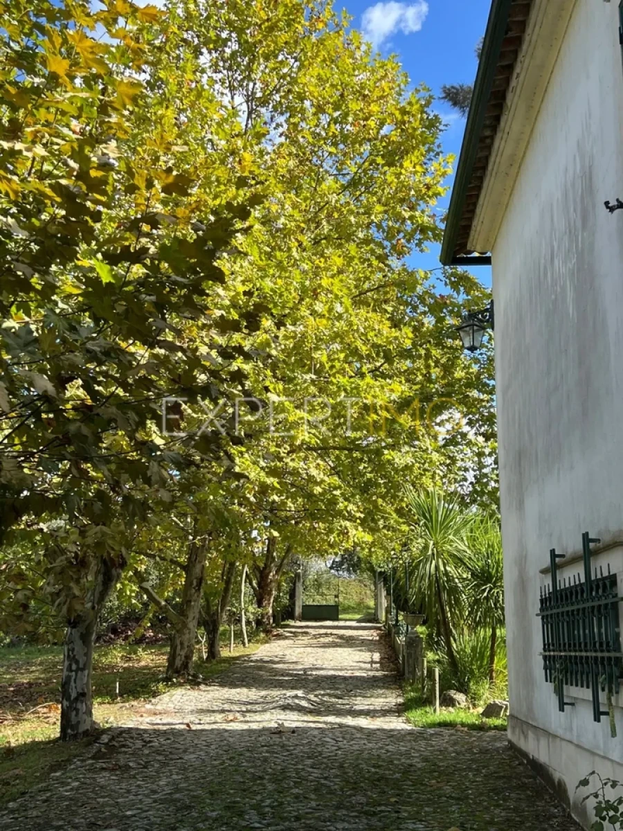 Moradia T3 para Venda em São Silvestre Foto 28