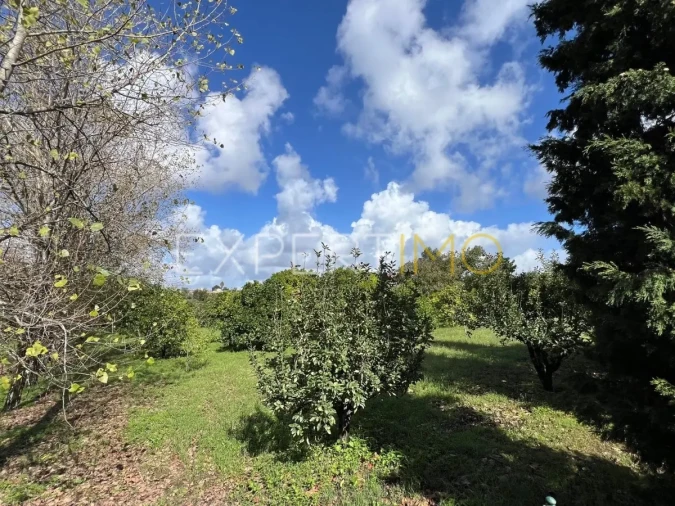 Moradia T3 para Venda em São Silvestre Foto 6