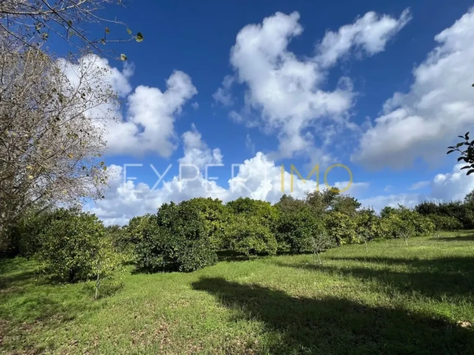 Moradia T3 para Venda em São Silvestre Foto 7