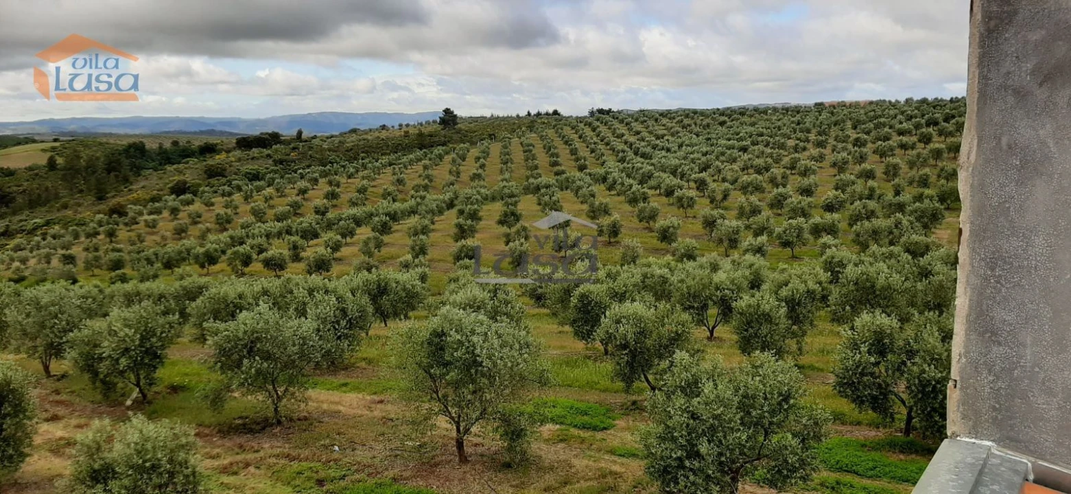 Moradia T6 para Venda em Passos Foto 15