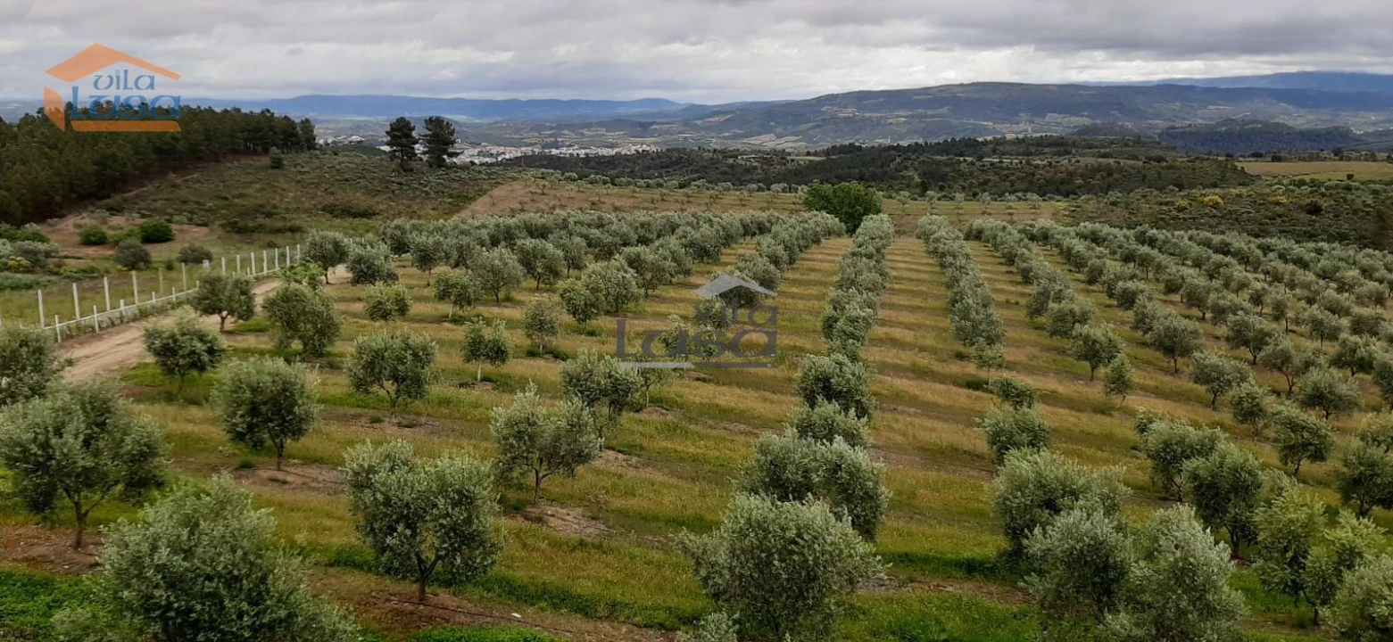 Moradia T6 para Venda em Passos Foto 16