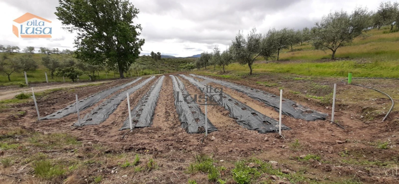 Moradia T6 para Venda em Passos Foto 21