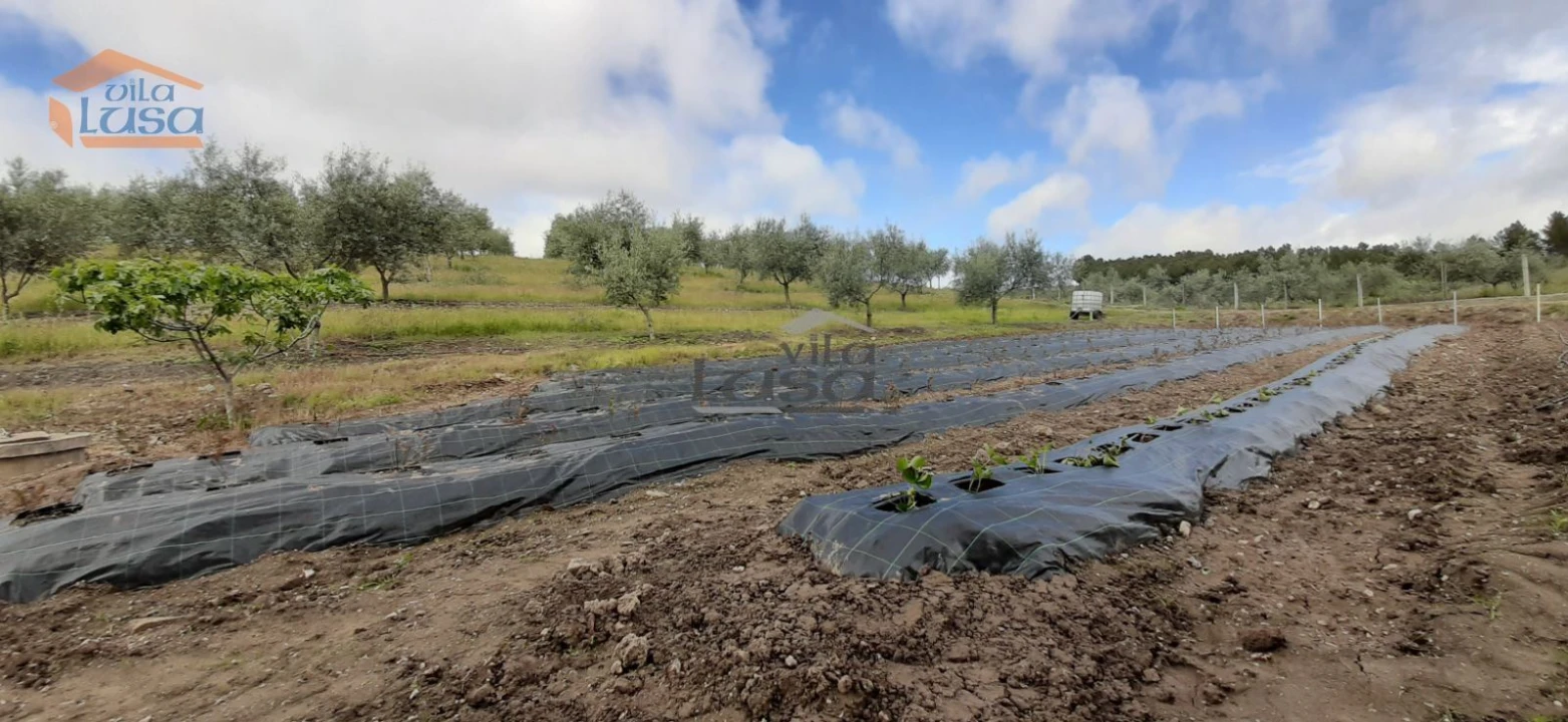 Moradia T6 para Venda em Passos Foto 22