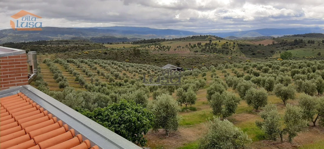 Moradia T6 para Venda em Passos Foto 2