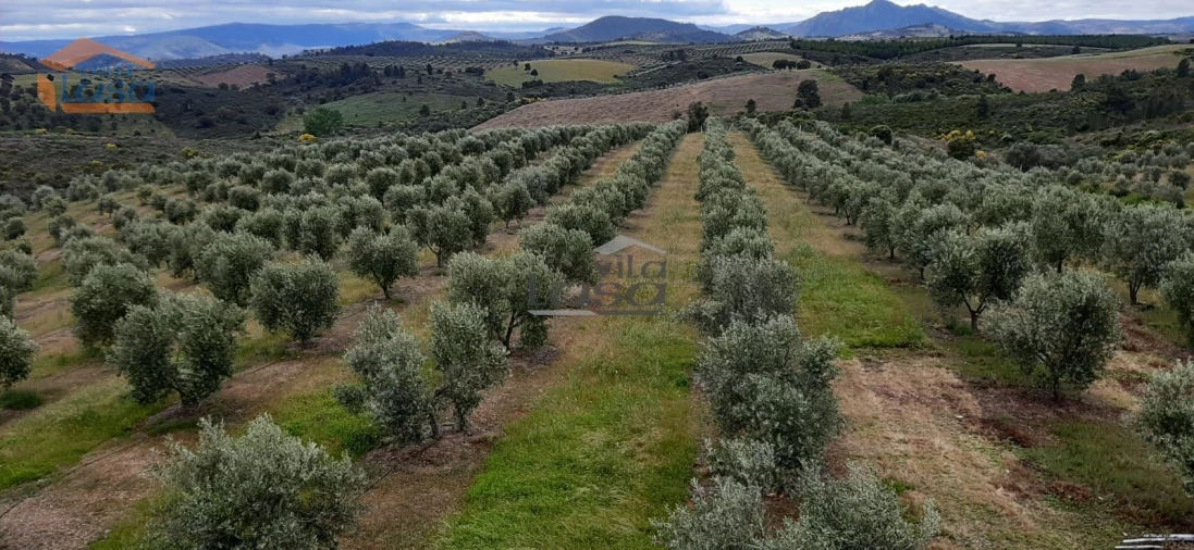 Moradia T6 para Venda em Passos Foto 1