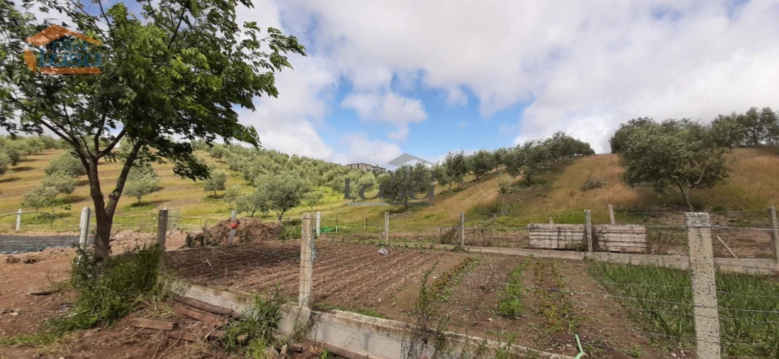 Moradia T6 para Venda em Passos Foto 24