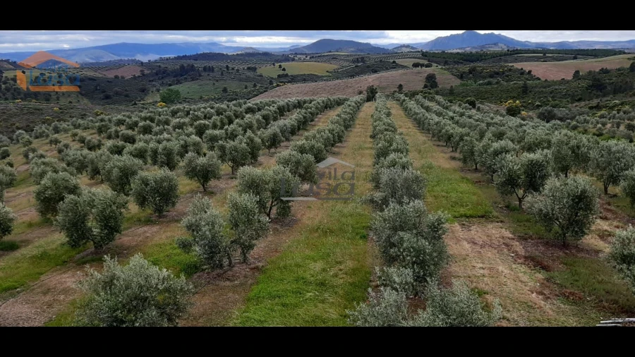 Moradia T6 para Venda em Passos