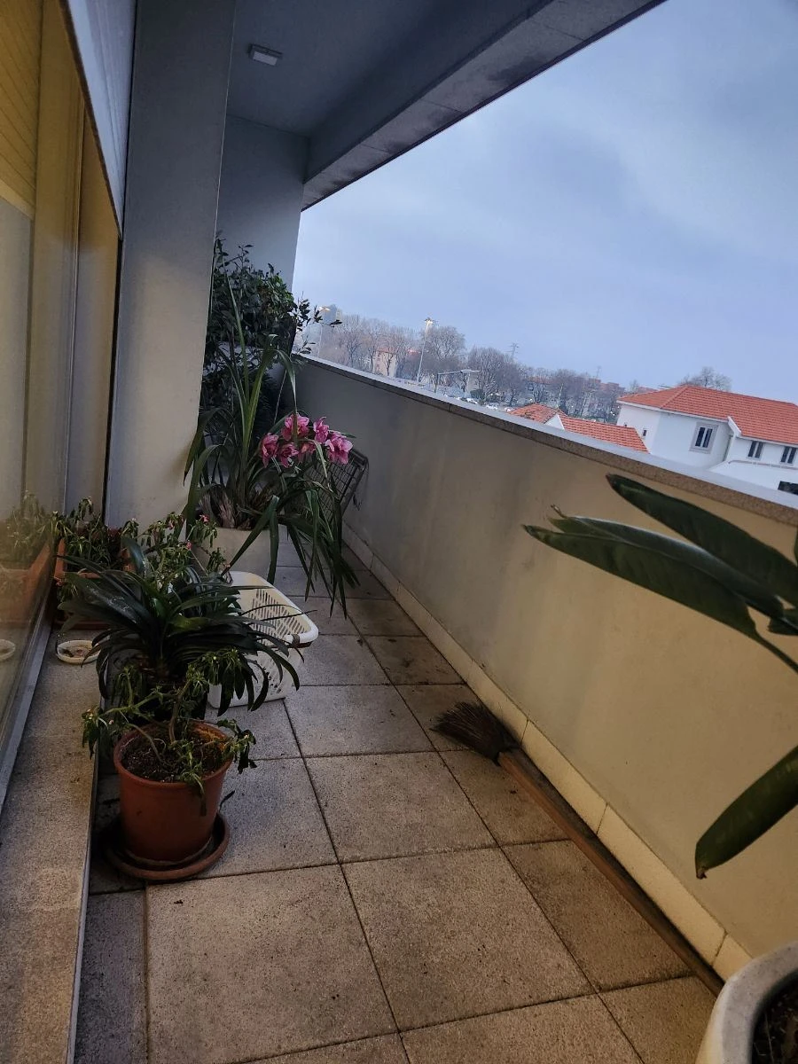 Apartamento T2 para Venda em Paranhos Foto 1