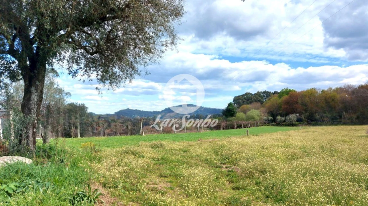 Moradia T3 para Venda em Quintiães e Aguiar Foto 31