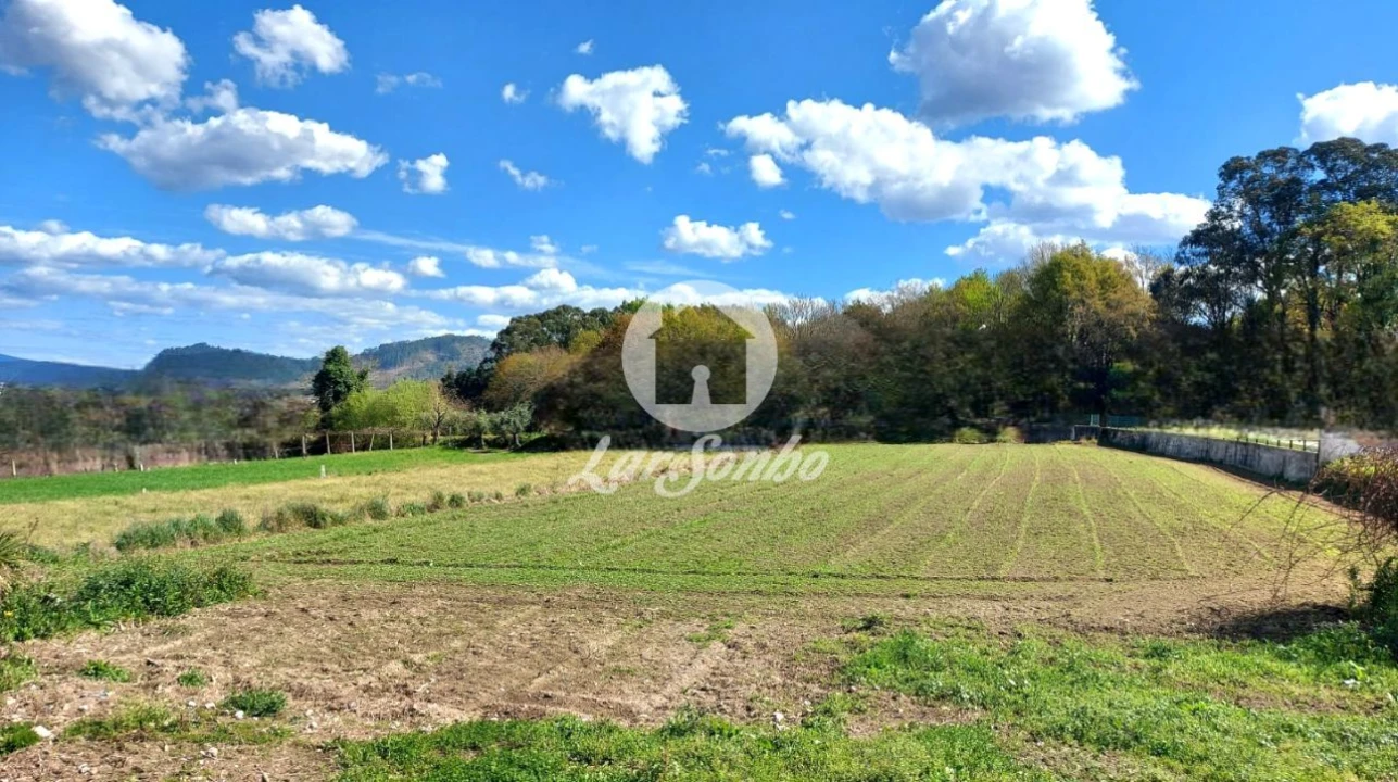 Moradia T3 para Venda em Quintiães e Aguiar Foto 32