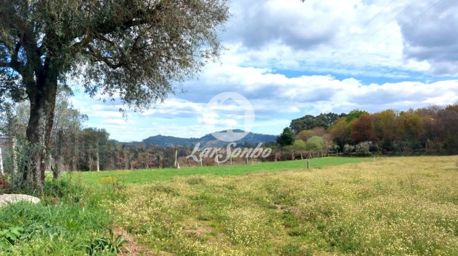 Moradia T3 para Venda em Quintiães e Aguiar Foto 31