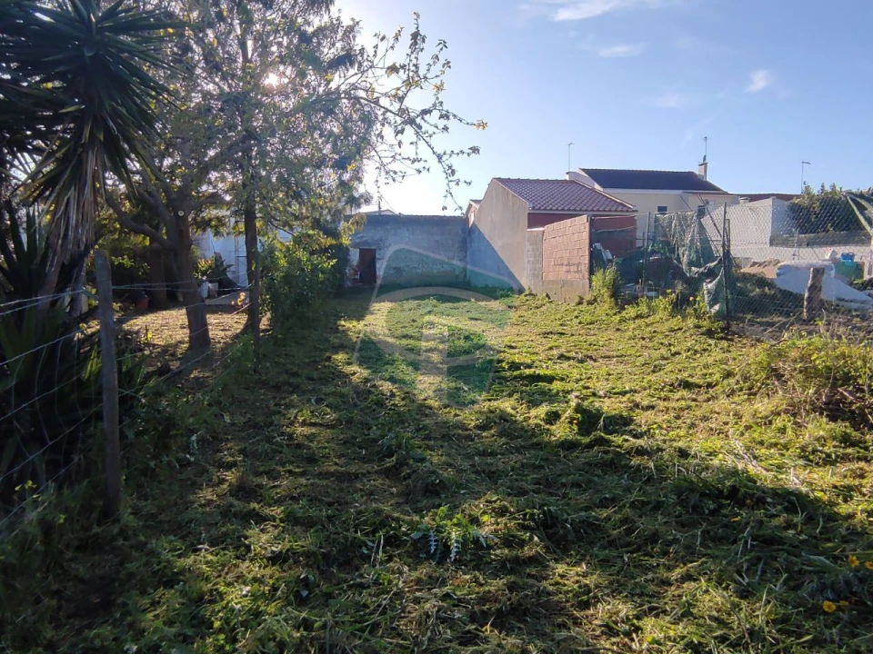 Terreno para Venda em Cartaxo e Vale da Pinta Foto 2
